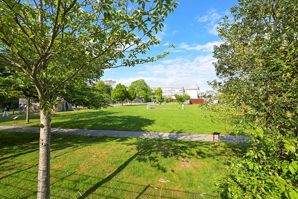 Medium property photo - Spaarwaterstraat 42, 2593 RN The Hague